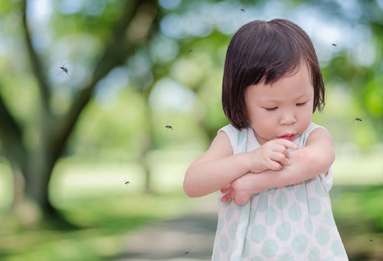 Các triệu chứng sốt xuất huyết ở trẻ em