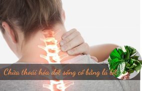 Chữa thoái hóa đốt sống cổ bằng lá lốt