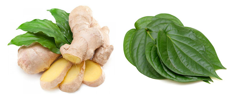 Cách chữa viêm phế quản bằng lá trầu không