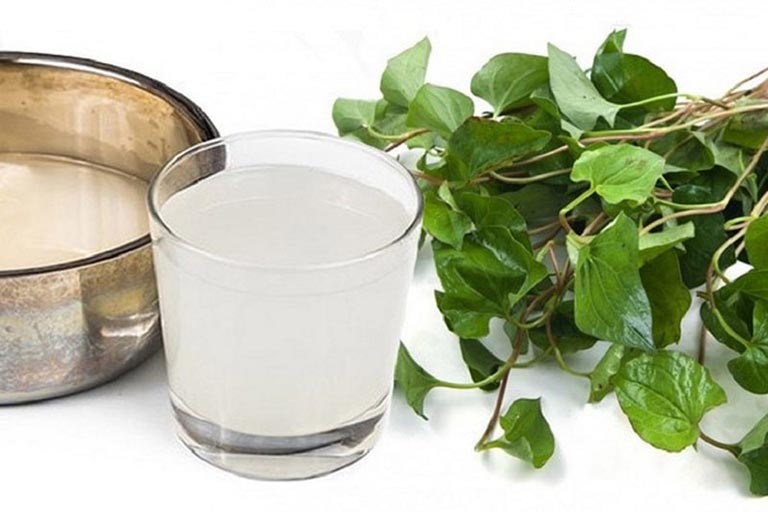 Chữa viêm phế quản bằng rau diếp cá
