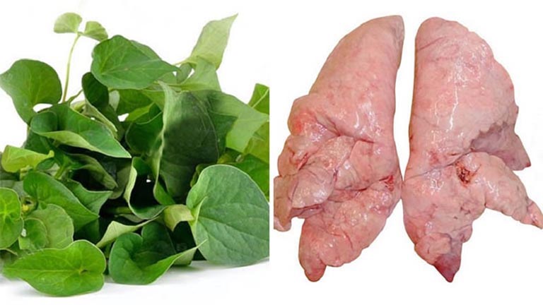 Chữa viêm phế quản bằng rau diếp cá