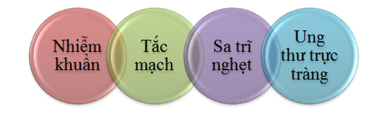 Sa búi trĩ