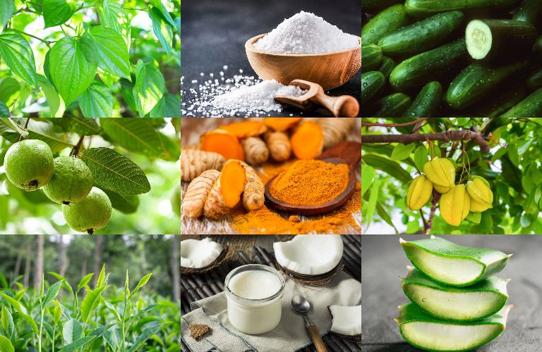 Top 10 cách chữa bệnh chàm theo dân gian mang lại hiệu quả