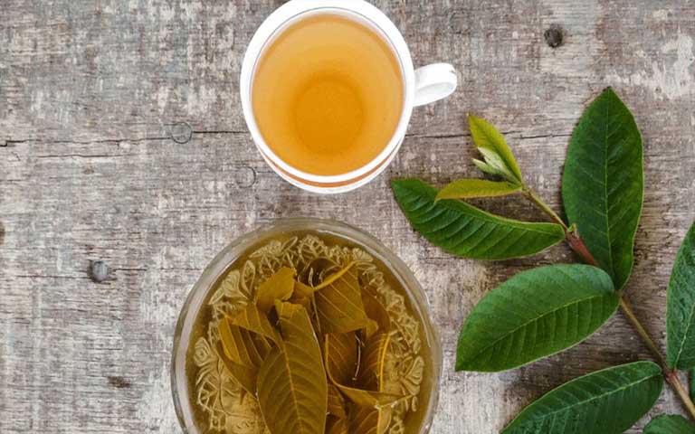 chữa đau dạ dày bằng lá ổi