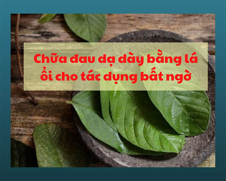 chữa đau dạ dày bằng lá ổi