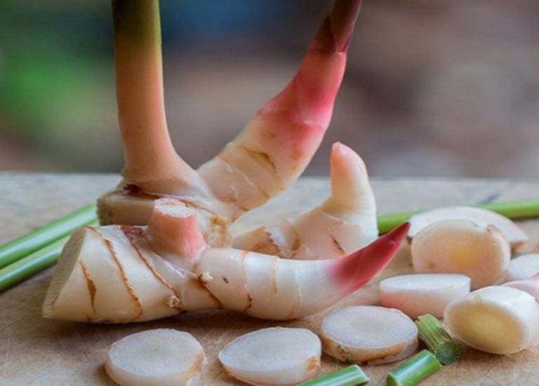 Dùng củ riềng là một trong những phương pháp hỗ trợ điều trị lang ben được nhiều người biết đến