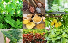 10 mẹo dân gian trị ngứa cho bà bầu an toàn không dùng thuốc