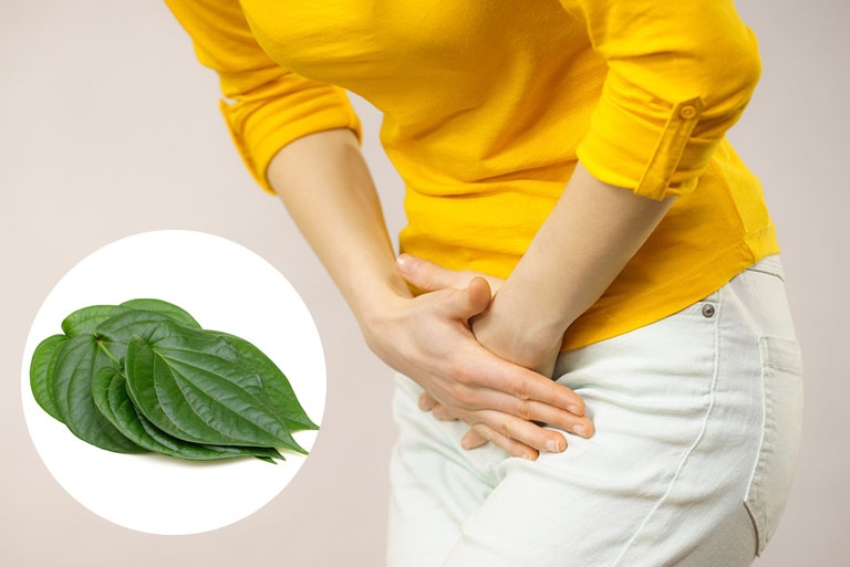 chữa viêm lộ tuyến bằng lá trầu không