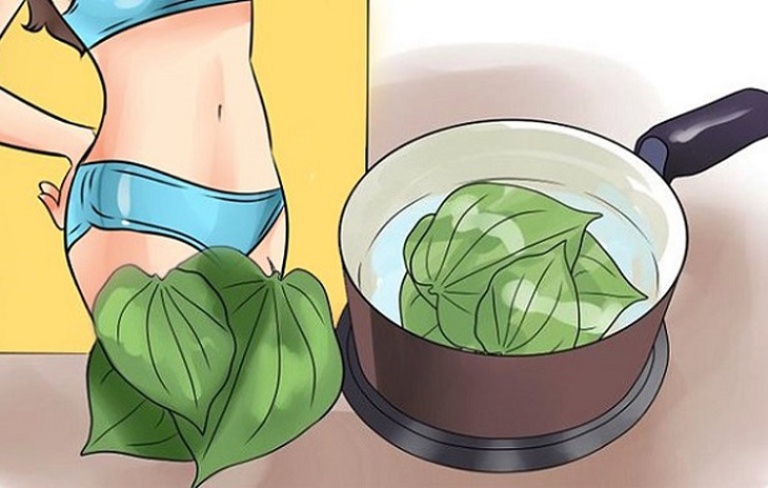 cách dùng lá trầu chữa viêm lộ tuyến