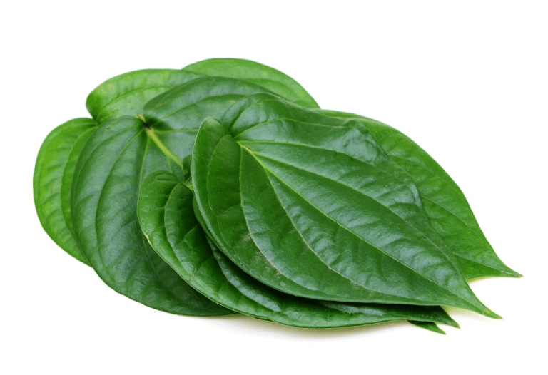 cách chữa huyết trắng bằng phèn chua