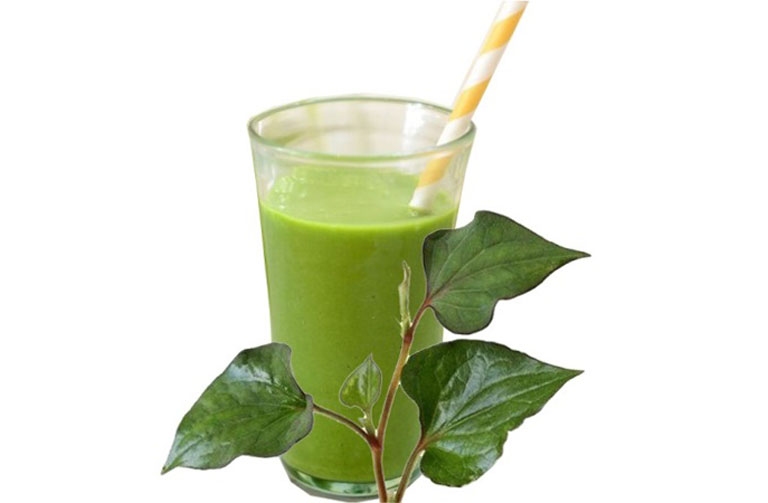 uống nước ép rau diếp cá