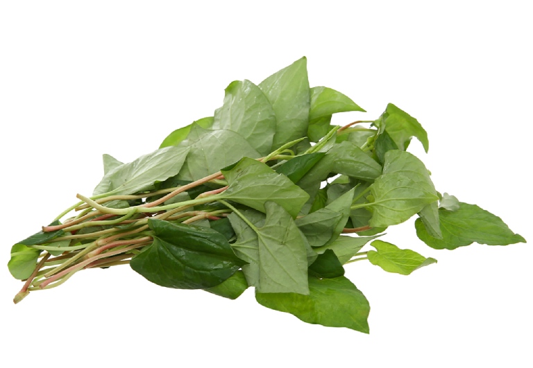 mẹo dùng rau diếp cá trị huyết trắng
