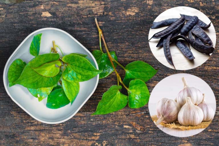 mẹo chữa huyết trắng bằng rau diếp cá